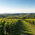 Luxe Villa, Ensuites & Private Vineyard Views Villa San Marzano Oliveto