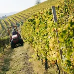 Luxe Villa, Ensuites & Private Vineyard Views Villa San Marzano Oliveto
