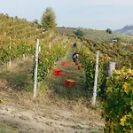 Luxe Villa, Ensuites & Private Vineyard Views * San Marzano Oliveto