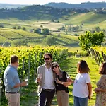 Luxe Villa, Ensuites & Private Vineyard Views Villa *