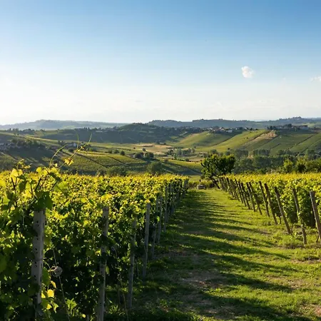 Luxe Villa, Ensuites & Private Vineyard Views 빌라 산마르자노올리베토