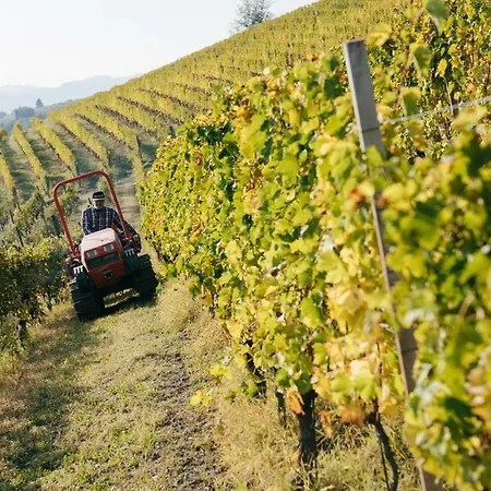 Luxe Villa, Ensuites & Private Vineyard Views 빌라 산마르자노올리베토