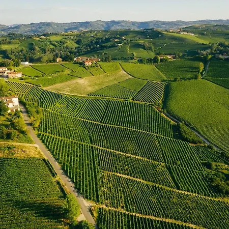 Luxe Villa, Ensuites & Private Vineyard Views * 산마르자노올리베토