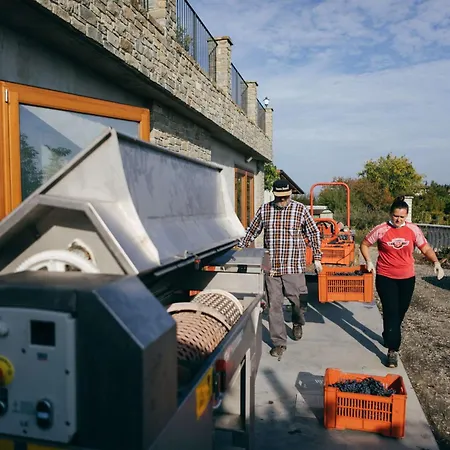 Luxe Villa, Ensuites & Private Vineyard Views Βίλα San Marzano Oliveto