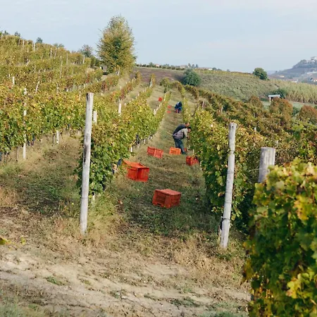 Luxe Villa, Ensuites & Private Vineyard Views * 산마르자노올리베토
