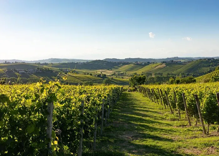 Luxe Villa, Ensuites & Private Vineyard Views Villa San Marzano Oliveto