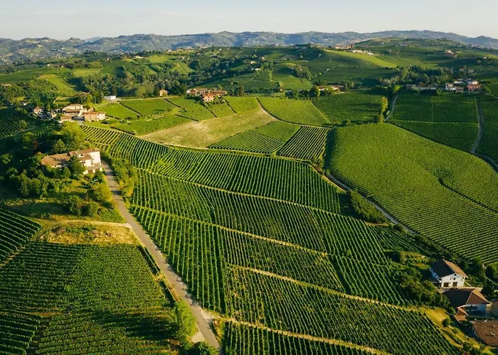 Luxe Villa, Ensuites & Private Vineyard Views * San Marzano Oliveto