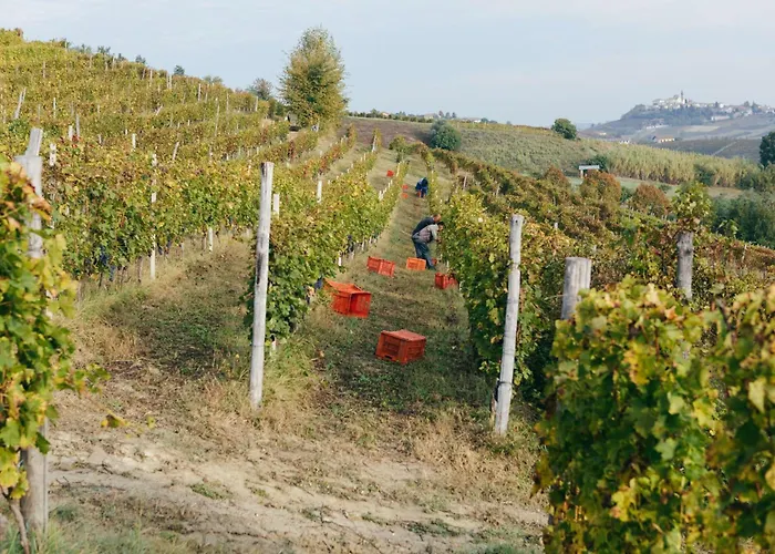 Luxe Villa, Ensuites & Private Vineyard Views * San Marzano Oliveto