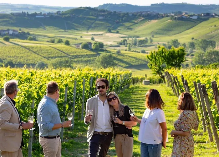 Luxe Villa, Ensuites & Private Vineyard Views Villa *